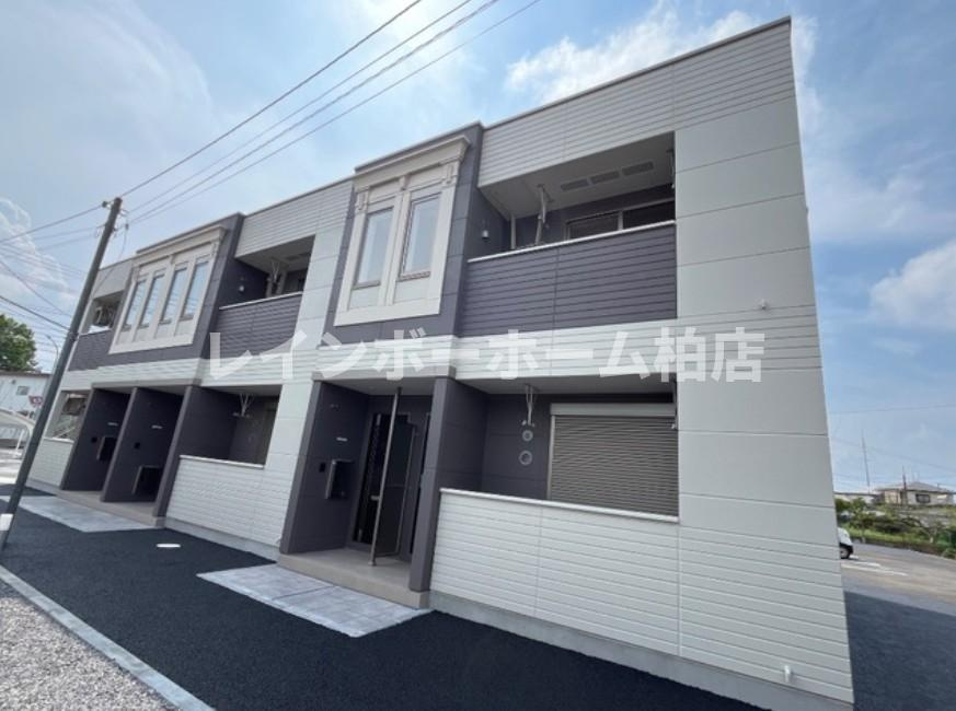 【仲介手数料：50％OFF】対象物件！のエントランス|エントランスです
