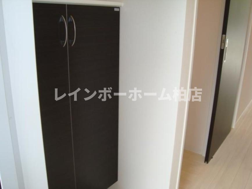 【仲介手数料：50％OFF】対象物件！の玄関|落ち着いた玄関です