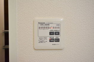 AZALEAのその他