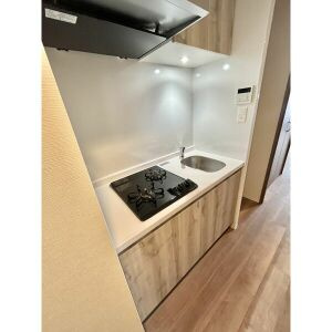 春日井市勝川町６丁目の賃貸マンションのキッチン