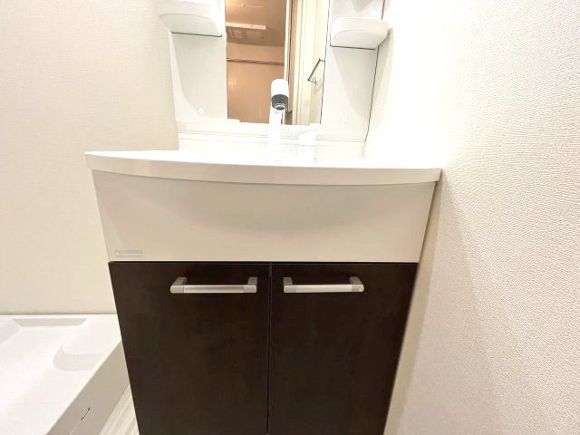 フジパレス弥刀Ⅴ番館の独立洗面台