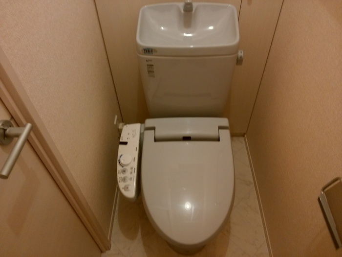 メゾンブランシュのトイレ|落ち着いた色調のトイレです