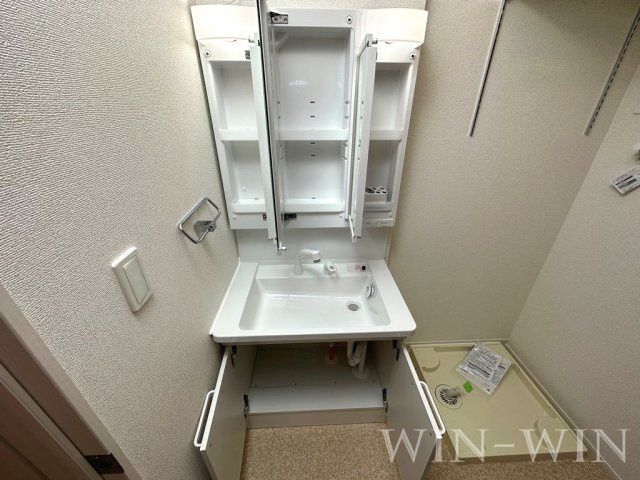 エーエスコート グレイスの洗面所