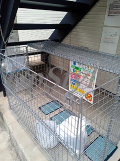 【その他】 | アパートメント新小岩Ａ棟
