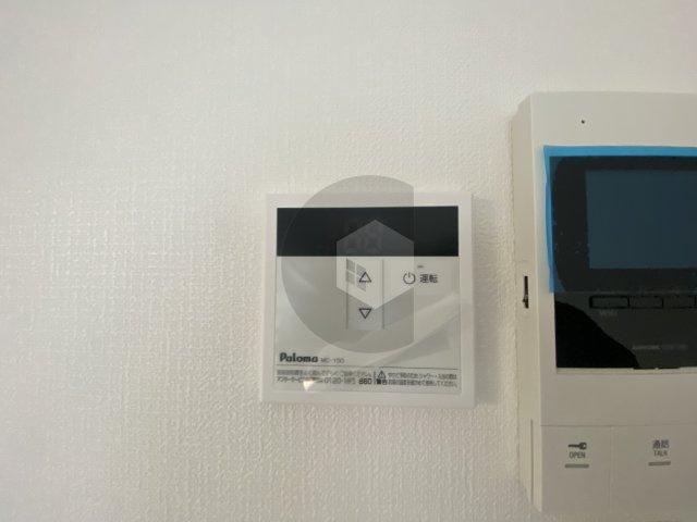 ディーポルタエオスのその他