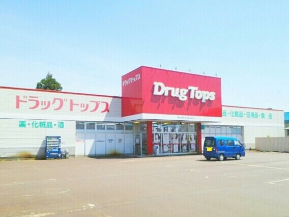 リープルの周辺|ドラッグトップスまで1040m
