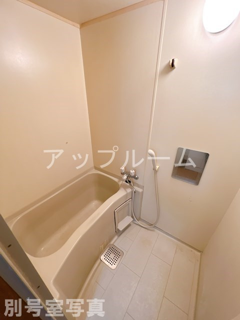 サマックス林B棟の浴室