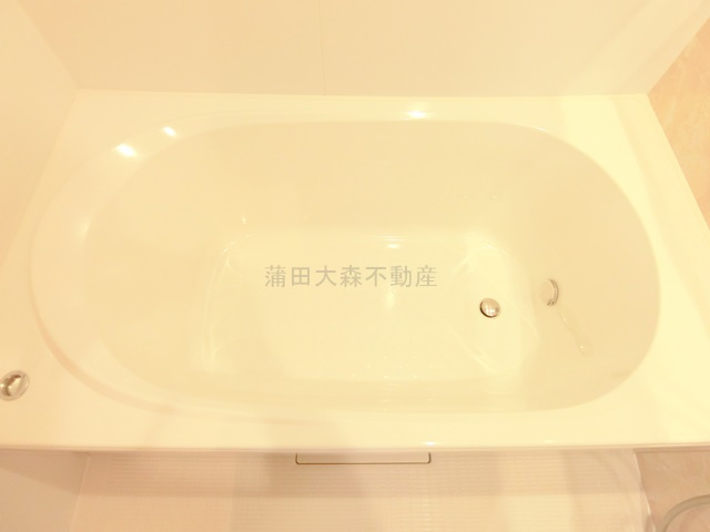 プルナス蒲田の浴室