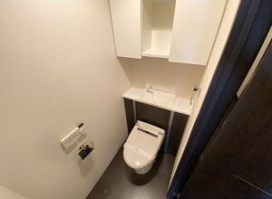 芦屋市大東町の賃貸マンションのトイレ