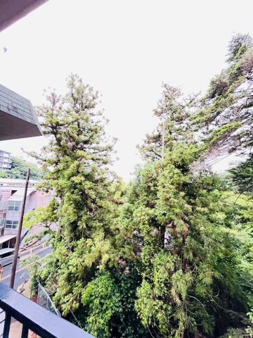 神戸市灘区鶴甲３丁目の賃貸マンションのバルコニー