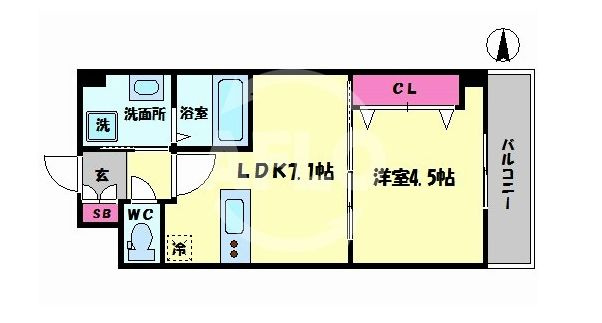 グランロード立売堀　堀江小学校区の間取り|グランロード立売堀　開放感ある間取