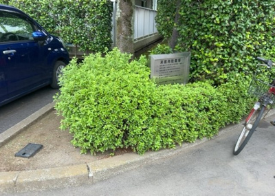 【庭】 | 南林間ハイライズ | 敷地内の緑豊かな植栽スペースは、日々の暮らしに心安らぐ彩りを与えてくれます。閑静な住宅街に佇む本物件周辺は平坦地となっており、お散歩や日々のお買い物時にも快適に移動できる住環境が魅力的です。