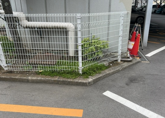 【中庭】 | 南林間ハイライズ | 建物敷地内の共用スペースには植栽が整備されており、整然とした雰囲気が保たれています。1987年築のSRC造10階建てマンションとして、巡回管理による適切な管理が行われている様子をご確認いただけます。