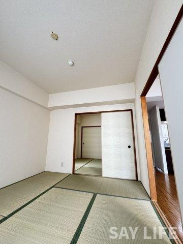 ドミソレイユのその他