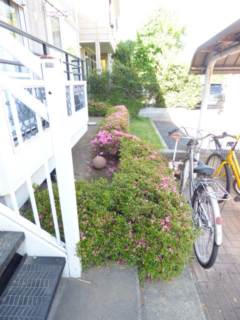 敷地内に植栽がございます♪