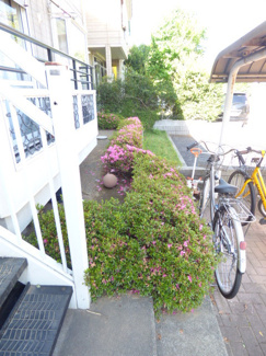 敷地内に植栽がございます♪