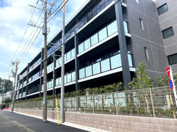 ステラ　ルーチェの画像