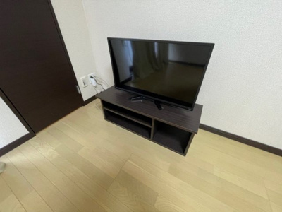 【その他】 | レオネクストグリーンサイド大沼 | テレビ
