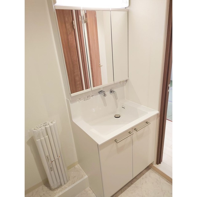きだパレスの洗面所
