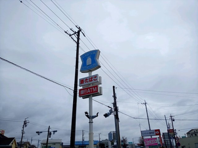 レオパレスライズ・コーワの周辺