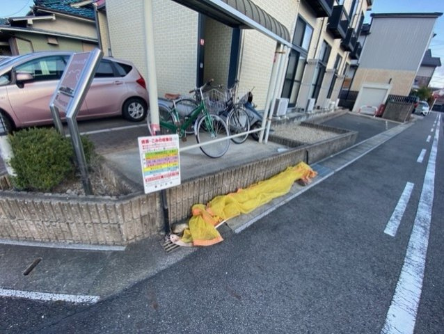 レオパレストリニのその他