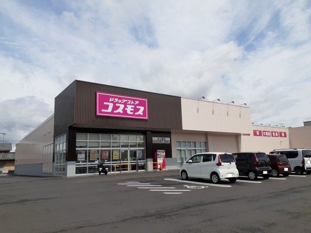 リヴァーパークⅡ　Ｃの周辺|コスモス井門店様まで850m