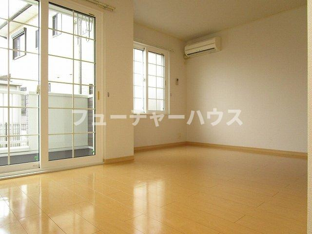 ロアジーナのその他