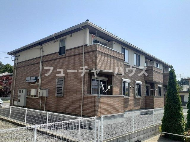 コッティ１０３７