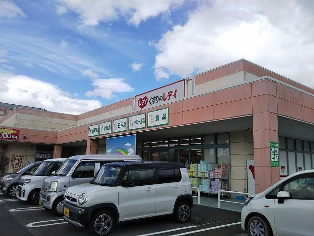 レオパレスアベニューの周辺