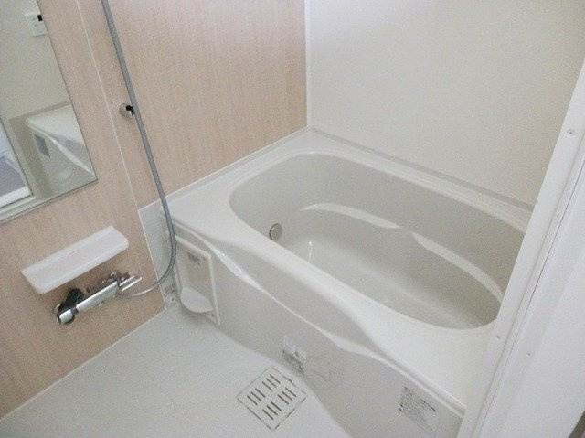テルマエ大和の浴室
