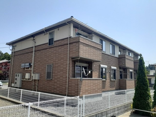 コッティ１０３７