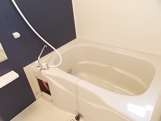 ランド　ピースＢの浴室