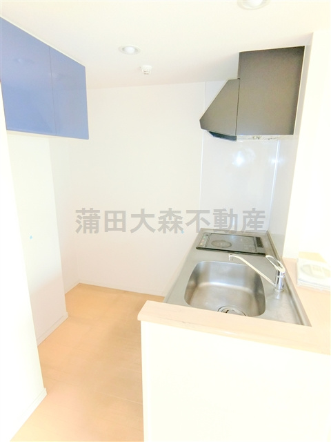 Dream Atlasドリームアトラス樹心のキッチン|2口IHシステムキッチン　カウンターキッチン
背面冷蔵庫置き場横にレンジや炊飯器のラックも！