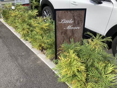 Ｌｉｔｔｌｅ Ｍｏｏｎ