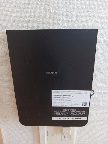 モヤ　パラチャのその他