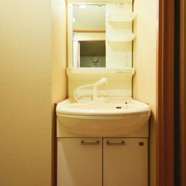 キャスルつつじヶ丘の収納|収納