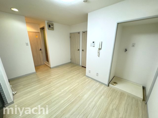 ロータスワゼルのその他