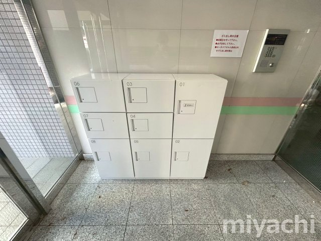ロータスワゼルのその他