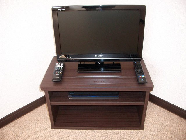 レオネクストショウワのその他