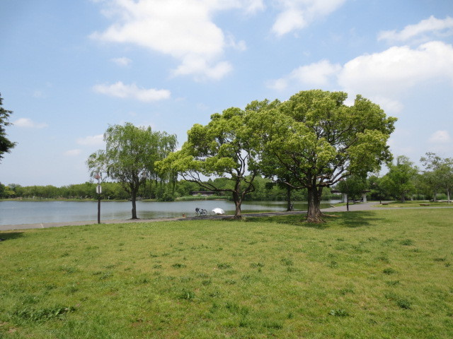 グランドール南水元のその他|水元公園