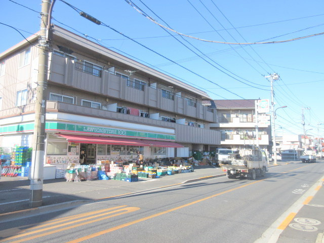 グランドール南水元のその他|ローソンストア100西水元店