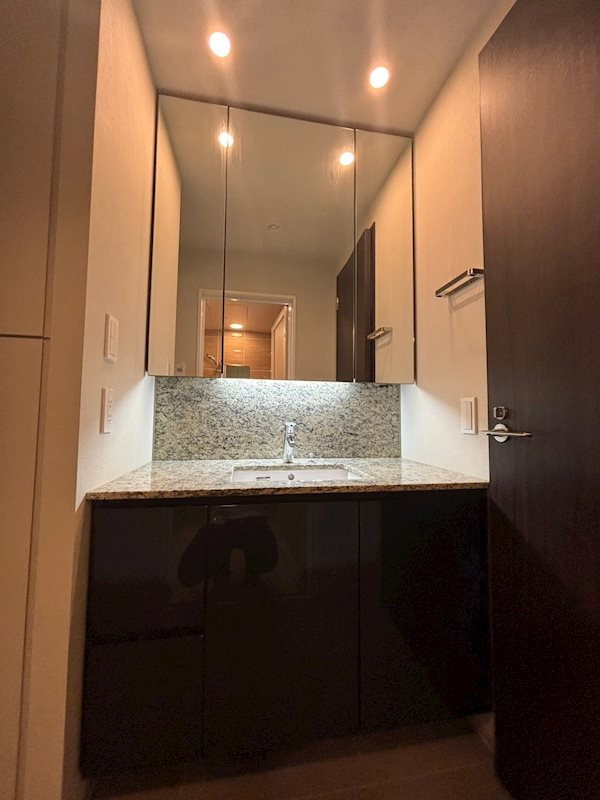 クラッシィタワー淀屋橋の洗面所