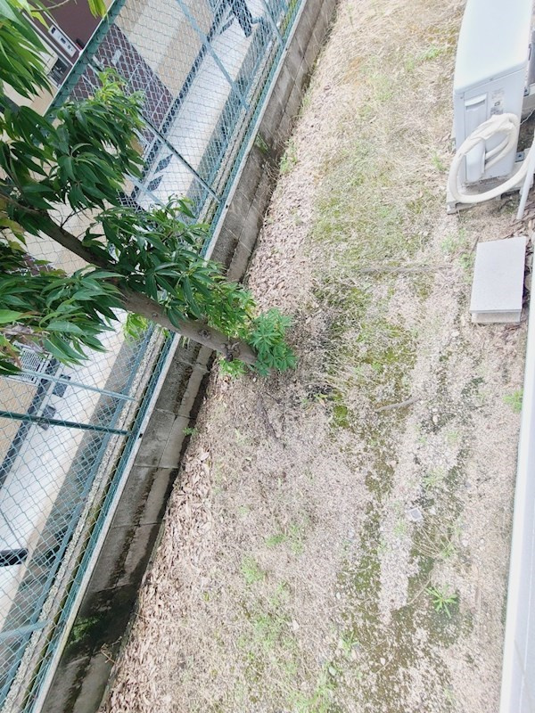 レオパレスＳｏｕｔｈＣｏｕｒｔのバルコニー