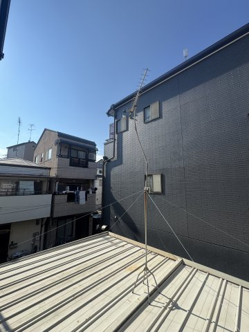 シダー真野の展望