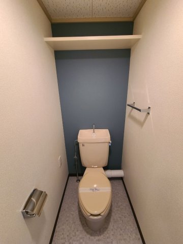 ロシェ宝塚のトイレ