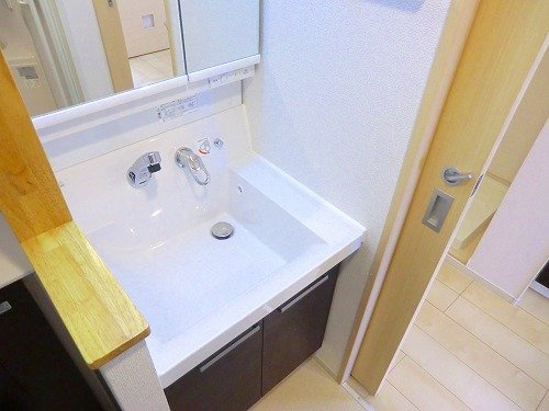 ブリーズコート城北の洗面所
