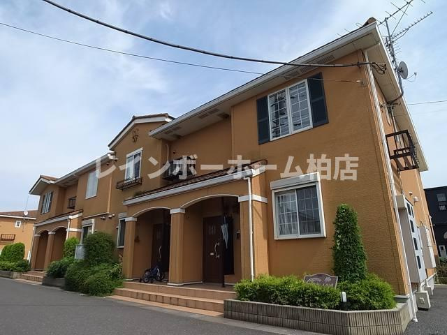 【仲介手数料：50％OFF】対象物件！の外観|物件の外観です