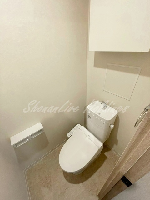 厚木市中町４丁目の賃貸マンションのトイレ