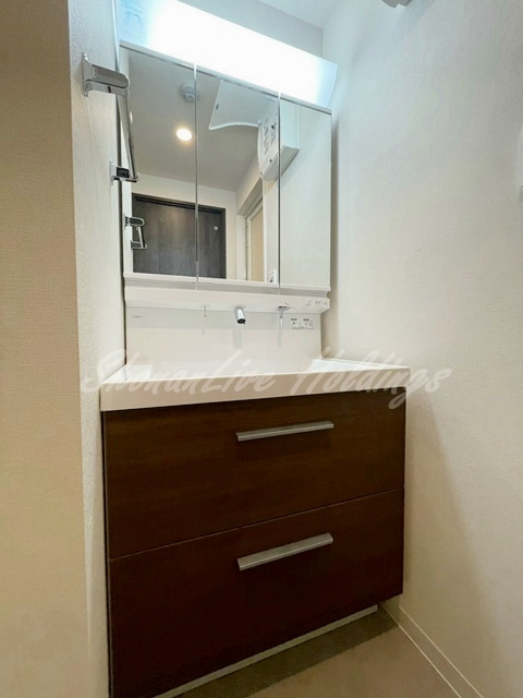 厚木市中町４丁目の賃貸マンションの洗面所
