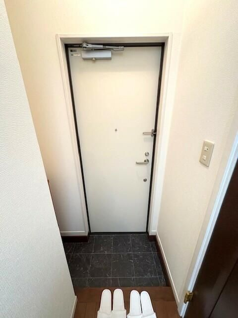 カーザ・レフィナーダⅢの玄関|ちょっとした収納スペースも充実しています